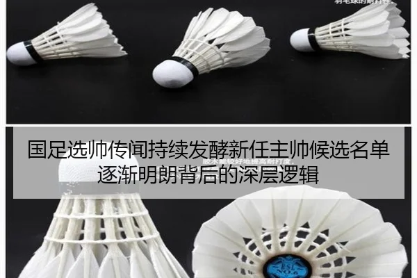 国足选帅传闻持续发酵新任主帅候选名单逐渐明朗背后的深层逻辑